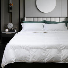 INTERMO PIUMINO 2 PIAZZE PIUMA D'OCA CM 250X205 