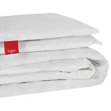 INTERMO PIUMINO 2 PIAZZE PIUMA D'OCA CM 250X205 