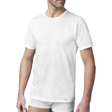 MAGLIA UOMO MEZZA MANICA GIROCOLLO FILO SCOZIA 