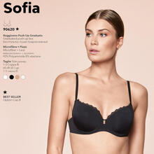 REGGISENO BORDO PIZZO COPPA GRADUATA COPPA B 