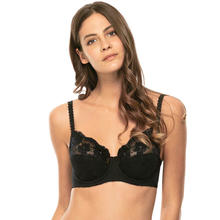 REGGISENO EXUBERANCE IN  PIZZO CON FERRETTO COPPA C 