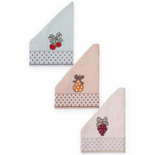 SET 3 STROFINACCI IN SPUGNA 