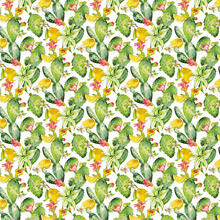 TOVAGLIA ANTIMACCHIA X 12  CM 140X240 