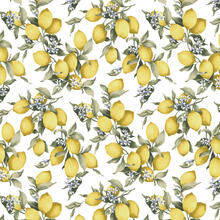 TOVAGLIA ANTIMACCHIA X6 CM 140X180 