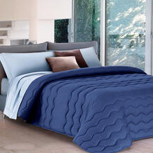 TRAPUNTA 1 PIAZZA MEZZA BICOLOR MICROFIBRA CM 220X270 