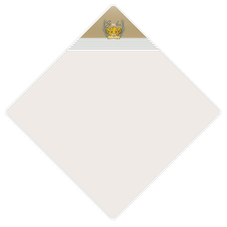 accappatoio-triangolo-neonato-in-display-9-pezzi