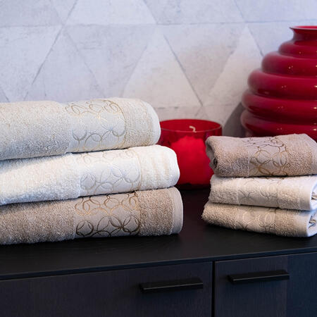 ascigamani-33-in-scatola-spugna-450-grammi-mq