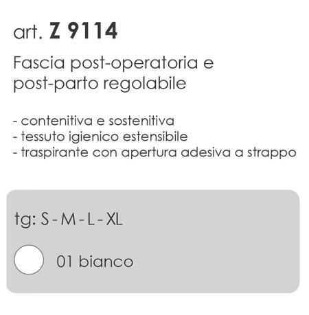 fascia-elastica