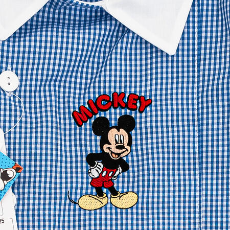 grembiule-bimbo-asilo-mickey