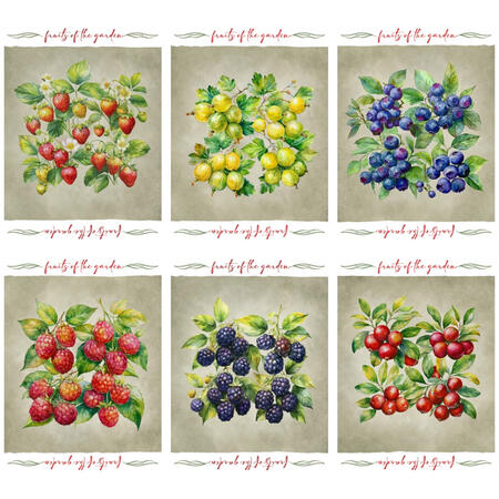 set-6-strofinaccicotone-cm-50x70-stampa-digitale