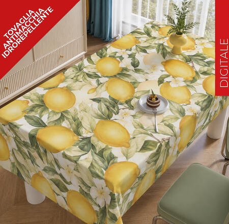 tovaglia-antimacchia-x-12-cm-140x240-67187