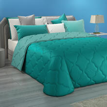 TRAPUNTA 1 PIAZZA MICROFIBRA DOUBLEFACE CM 170X270 