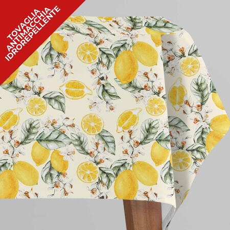 tovaglia-antimacchia-x12-cm-140x230-idrorepellente-66869