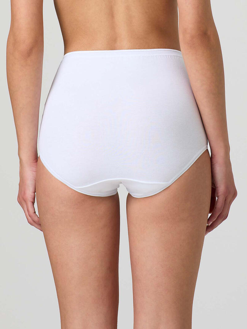 CULOTTA DONNA COTONE ELASTICIZZATO Gruppo Maccarrone Ingrosso Abbilgiamento e Biancheria